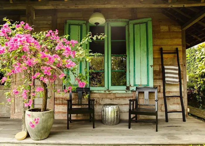 Villa Oasiiis Archive - 2br Rustic